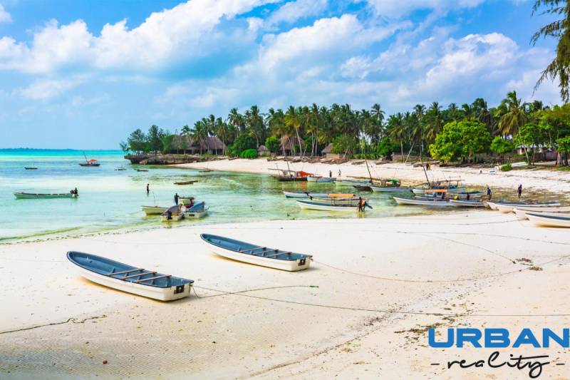 Strand hajókkal és pálmafákkal Kizimkaziban, ideális kereskedelmi telkek számára.