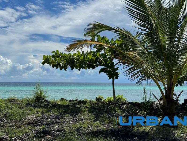 Kizimkazi partvidéke alkalmas kereskedelmi célú telkek számára, óceánra néző kilátással és pálmafákkal.