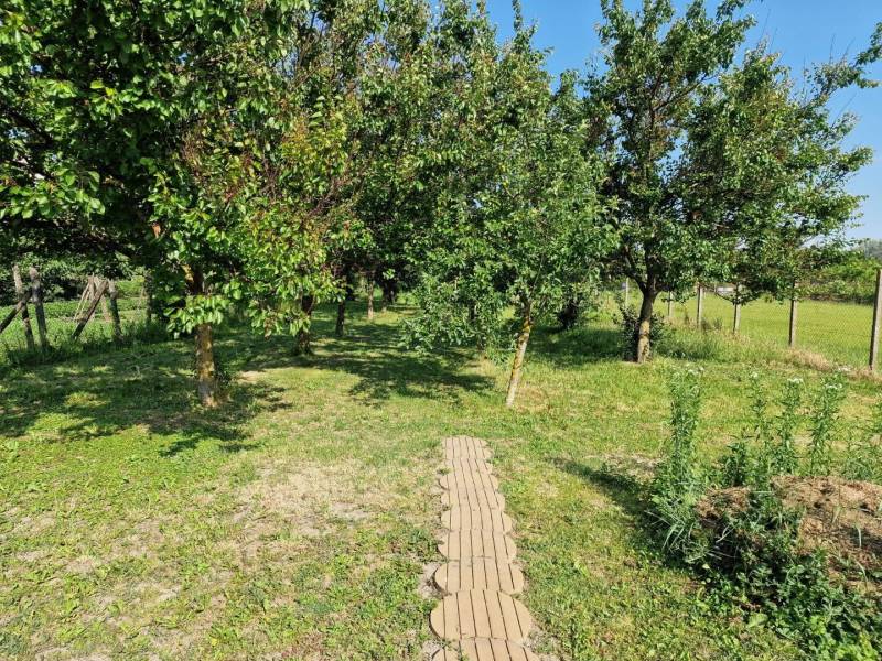 Családi ház kertje Vágszádelőn gyümölcsfákkal és gyepfelülettel.