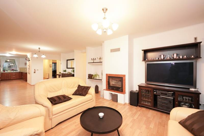 Nappali családi házban kandallóval, bőr kanapékkal és fa mintázatú padlóval.