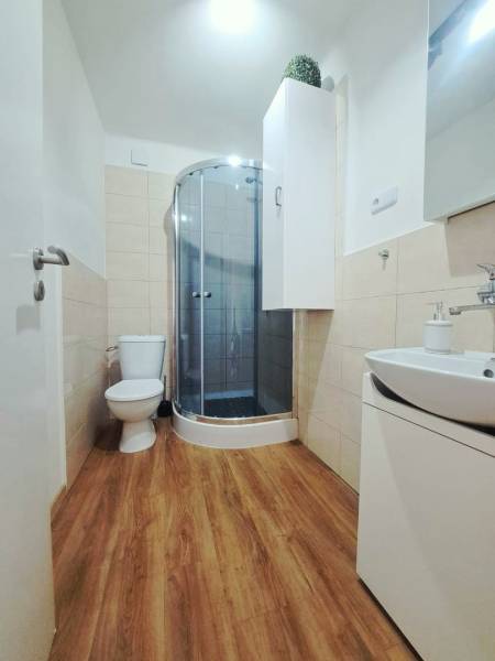 Fürdőszoba családi házban WC-vel, zuhanyzóval és fa dekorációjú padlóval.