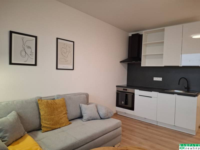 Garzonlakás kanapéval, konyhával és fa mintázatú padlóval.