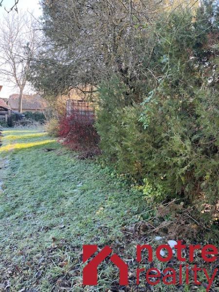 A családi ház kertje Tomášovcén sűrű növényzettel és füves területtel.