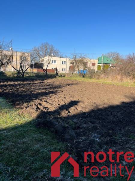 Tomášovciban, családi házak mellett található gyümölcsöskert egy derűs napon.