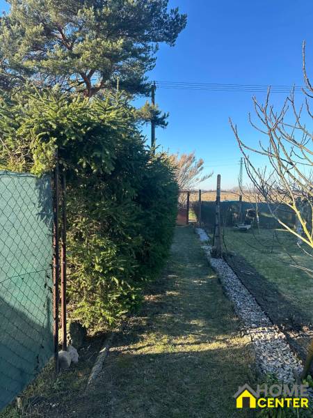 Újtelepi kertek Komáromban, kerítés zöld tűlevelűekkel és kőút.