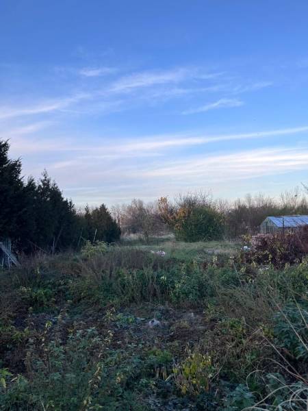 Családi ház kertje Kajalon zölddel és kék éggel.