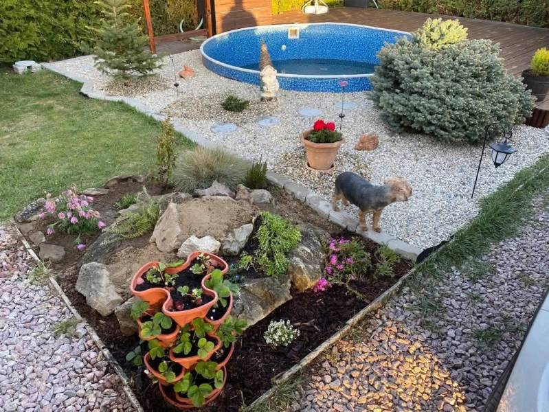 Kert Királyfánál a ház mellett medencével, virágokkal és kutyával.