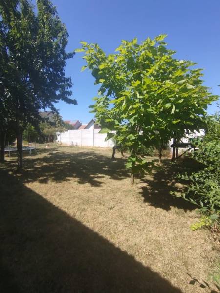 A családi ház kertje Tessedikóban, gyep és fák.