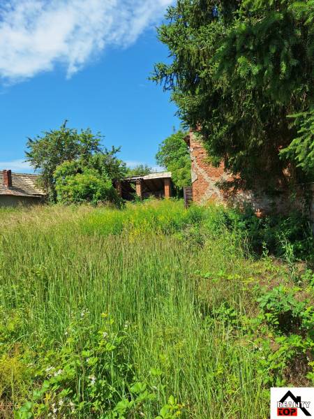 Lakóterület Radzovce-ben benőtt növényzettel, látható fákkal és régi épülettel.