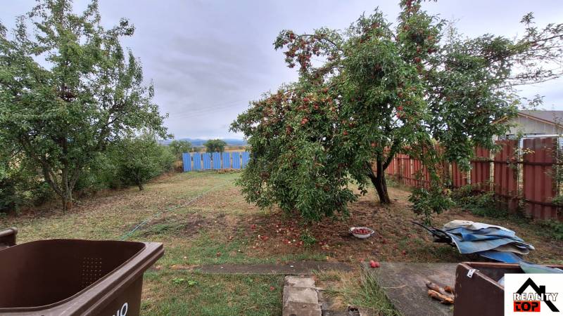 Családi ház Zacharovce-ban gyümölcsfákkal a kertben és fa kerítéssel.