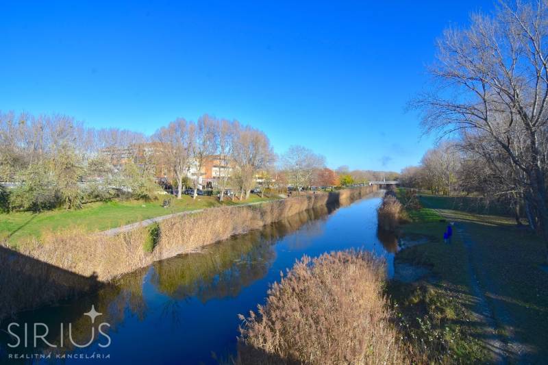 Nyugodt folyó a park közepén az Antolska utcában, Pozsony-Petržalka.