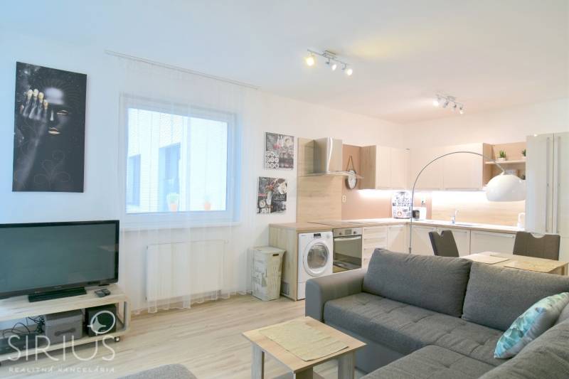 Nappali konyhasarokkal, kanapéval és fa dekorációjú padlóval egy kétszobás lakásban.