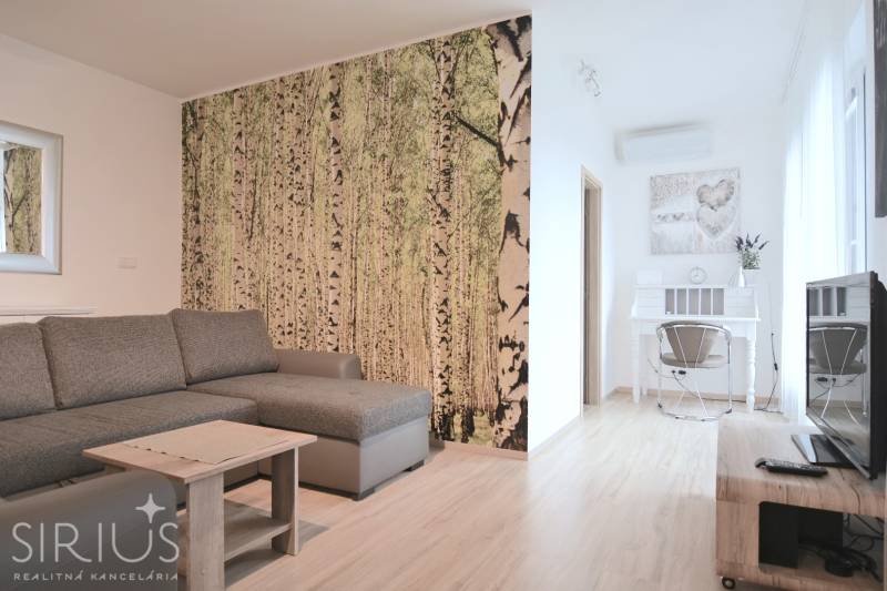 Nappali egy kétszobás lakásban kanapéval, erdő tapétával és fa dekorációval.