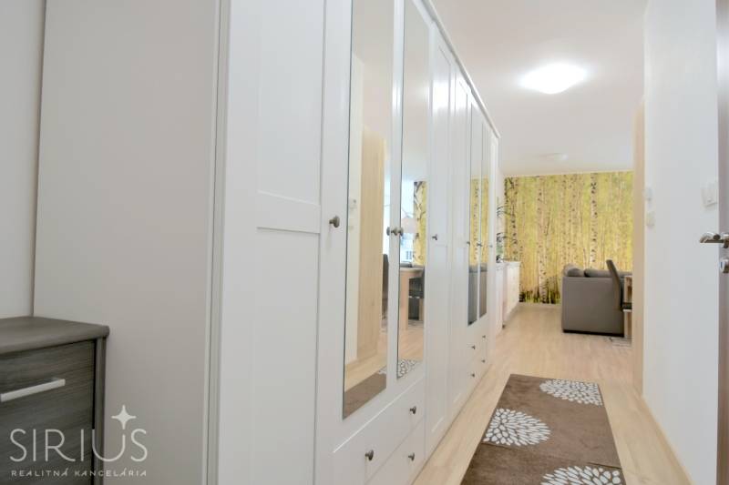 Folyosó fehér tükrös szekrénnyel és fa dekoros padlóval egy kétszobás lakásban.