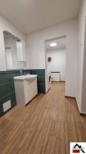 Fürdőszoba családi házban fa mintázatú padlóval és mosógéppel.