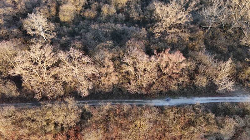 Légi felvétel az erdei útról a Nová Ves nad Váhom melletti üdülőterületen.