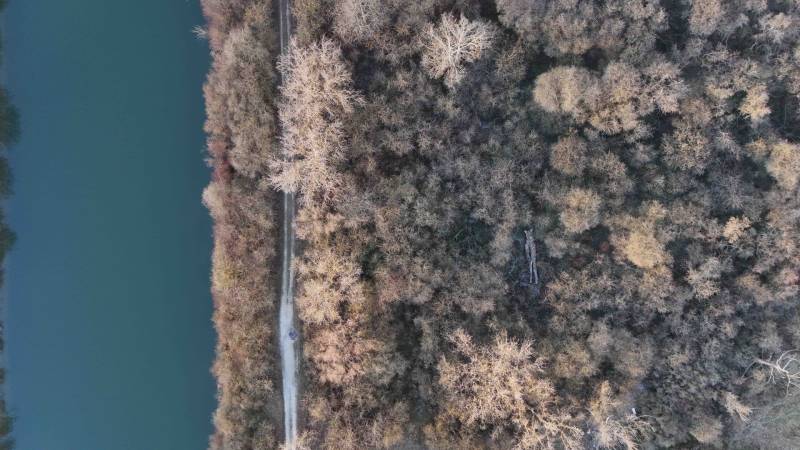 Légi felvétel az erdőről Nová Ves nad Váhomnál a Rekreačné pozemky közelében. Az út a folyó mentén halad.