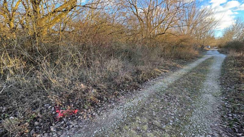 Erdészeti út a Rekreačných pozemkoch-ban, Nová Ves nad Váhom-ban, fákkal és bokrokkal szegélyezve.