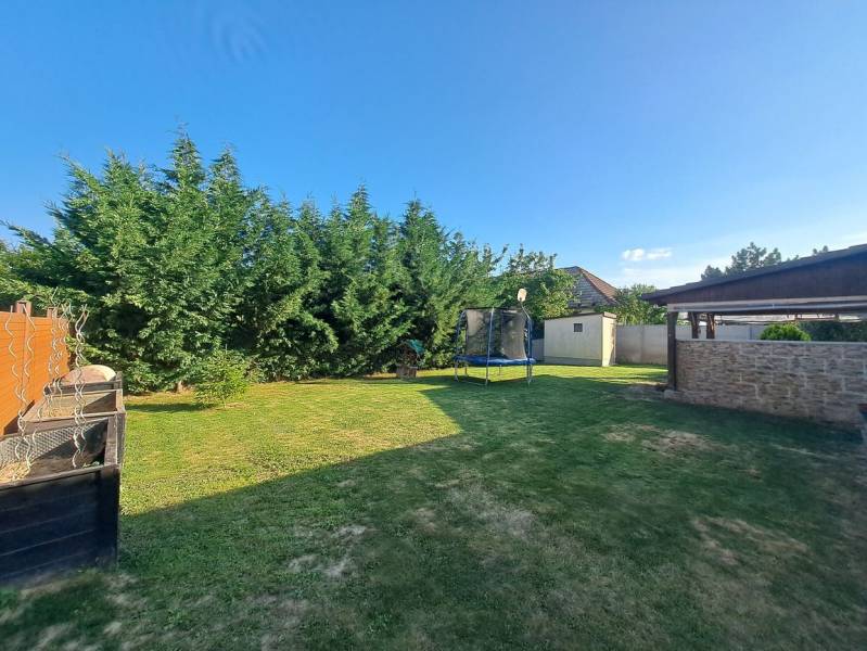 A családi ház kertje Feketeváron gyepes, trambulinnal és sűrű fenyőfákkal.