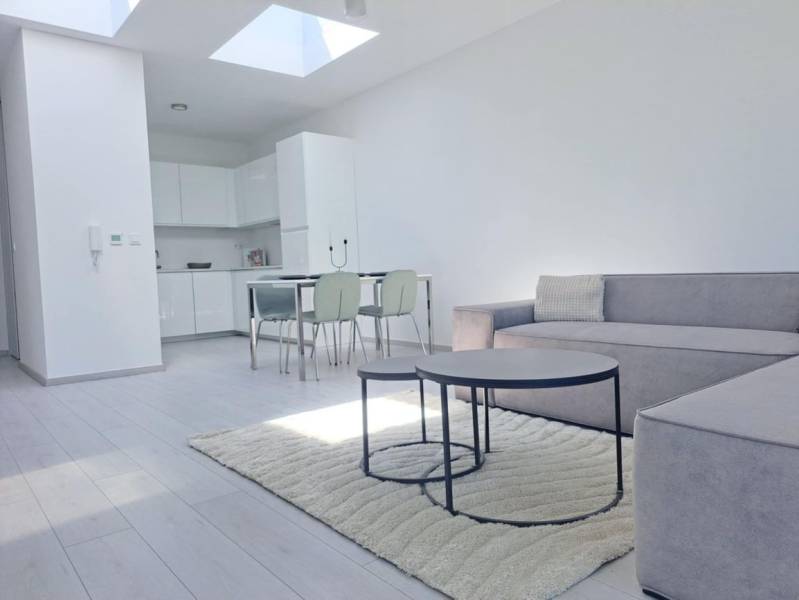 Világos nappali konyhával, kanapéval és fa dekoros padlóval egy kétszobás lakásban.