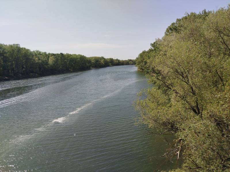 Folyó zölddel körülvéve a Vágsellye kertjeiben, nyugodt napos időben.