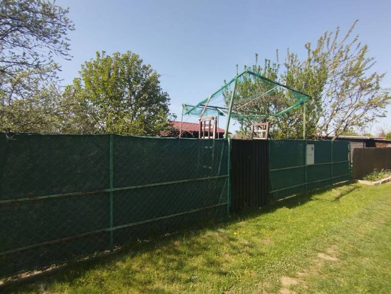 Zöld terület a kertekben Sároson, napos nap kék éggel.