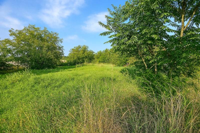 Zöld lakótelek Nagyzélőn, fákkal körülvéve és kék ég alatt.