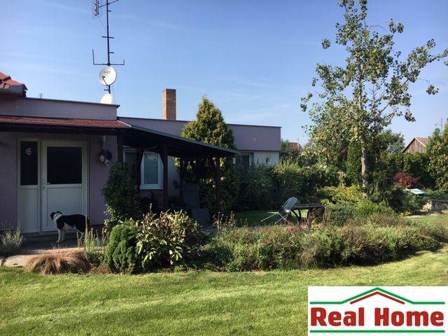 Családi ház Feketevízen kerttel, kutyával és pihenésre alkalmas terasszal.