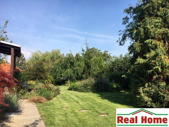 Kert a családi ház mellett Feketevízen gazdag növényzettel és gondozott gyepfelülettel.