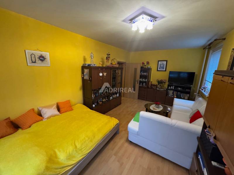 Nappali egy egyszobás lakásban fehér kanapéval és fa dekoros padlóval.