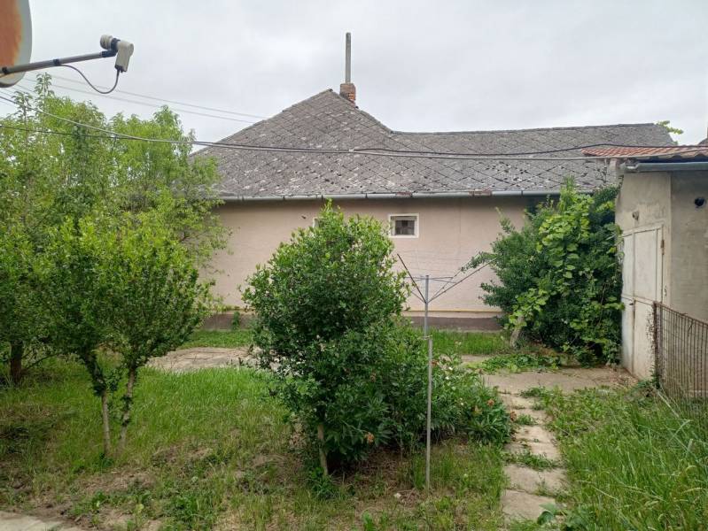 A családi ház kertje Strekovban bokrokkal és műholdantennával.