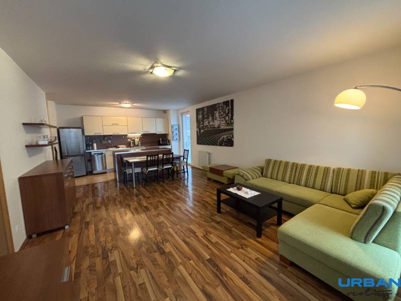 Nappali konyhával, zöld kanapé, konyhabútor és fa dekorációjú padló.