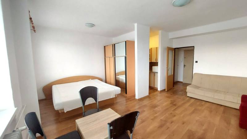 1 szobás lakás fa dekorációs padlóval, ággyal, kanapéval és szekrénnyel.