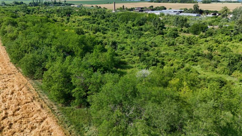 Rét és erdőterület Ivanka pri Nitre-ben, zöldövezet és mezőgazdasági területek által körülvéve.