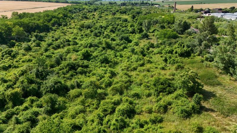 A zöld terület kiterjedt kereskedelmi telkeket borít Ivanka pri Nitre-ben, mezők és fák veszik körül.