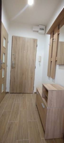 Előszoba egy egyszobás lakásban fa dekorációval és praktikus bútorokkal.