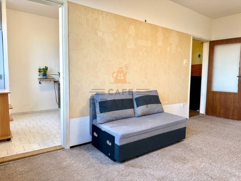 Szürke kanapé és szőnyeg az egyszobás lakás szobájában, világos falak dekorációval, bejárat a konyhába.