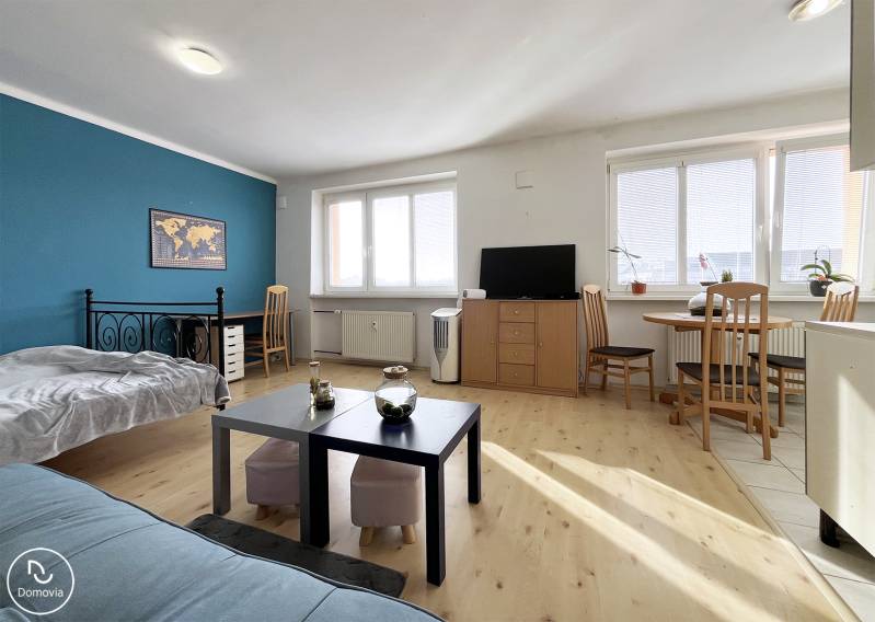 1 szobás lakás fa mintázatú padlóval, dohányzóasztallal és kék fallal.