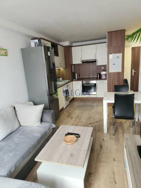 Nappali konyhasarokkal, kanapéval és fa dekorációjú padlóval egy kétszobás lakásban.