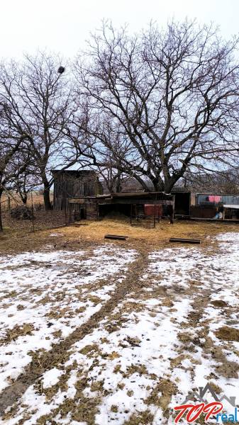 Havas lakóterületek fákkal a Békesség utcában, Krasznahorkaváralján.