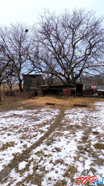 Havas telek lakhatásra Krasznahorkaváralján, Mierová utca, nagy fákkal.