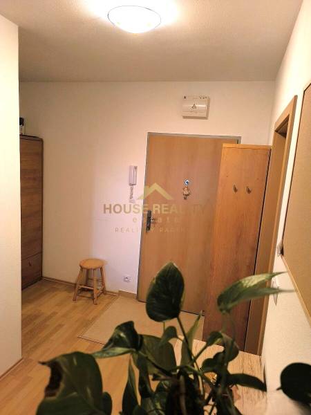 A kétszobás lakás bejárati része fa mintás padlóval és szobanövénnyel.