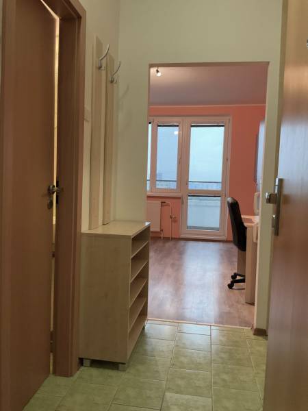 Studiolakas fa dekor padlóval és bútorokkal, kilátással az ablakból.