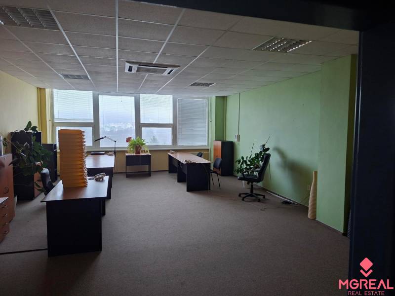 Irodák asztalokkal, székekkel és növényekkel fa dekorációjú padlón.