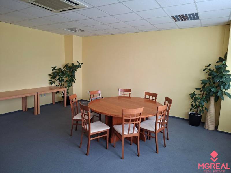 Irodák kerek asztallal, hat székkel, kék szőnyeggel és növényekkel.