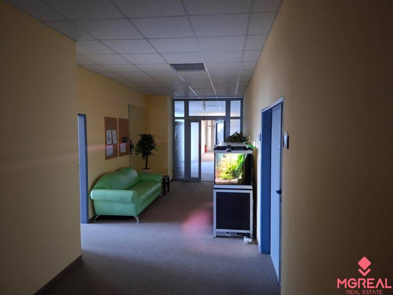 Irodák akváriummal, zöld kanapéval és növénnyel.