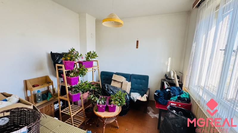 Szoba egy családi házban növényekkel, kanapéval és asztallal egy nagy ablak előtt.