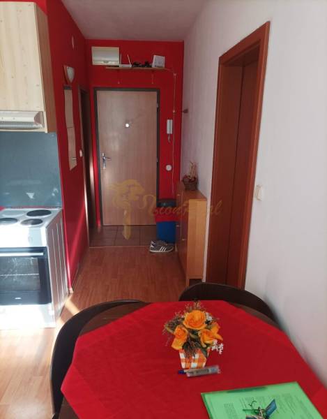 1 szobás lakás élénk piros falakkal és fa dekorációjú padlóval.