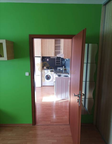 1 szobás lakás világos zöld falakkal és fa dekorációjú padlóval.