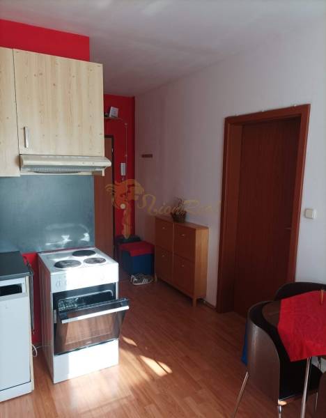 Konyha egy egyszobás lakásban, fa dekor padlóval.